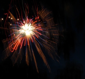 Fireworks- Jumpin' Jack's 2009 -beyond branches (orig.)