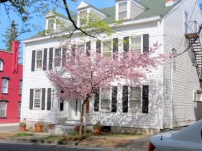 cherry blossoms on the tree in front of 17 Washington Ave. - Schenectady NY Stockade -- 28Apr2013
